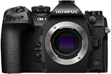 Comparatif des meilleurs appareils photo Olympus OM-D E-M10 Mark II