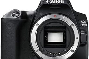 Meilleurs appareils photo Canon EOS 250D: Un guide d’achat complet