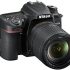 Les meilleures options Nikon D6 pour des performances d’élite