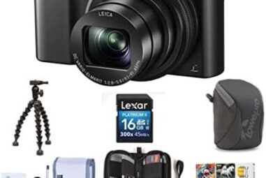 Top 5 Panasonic Lumix ZS100/TZ100 Cameras for 2021