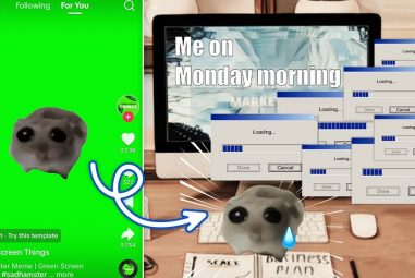 How to Create Sad Hamster TikTok Meme? (With Free Materials) | PERFECT – perfectcorp.com