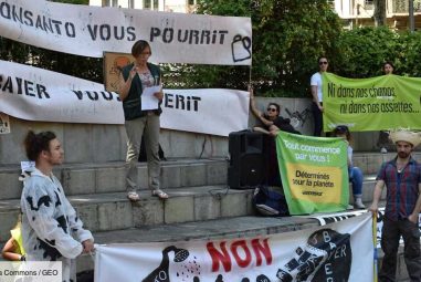 Militantisme écologique : l’engagement peut-il s’apparenter à une forme d’aventure ?