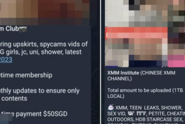 Telegram channels offer explicit sex videos and photos for a fee, similar to SG Nasi Lemak, Singapore News