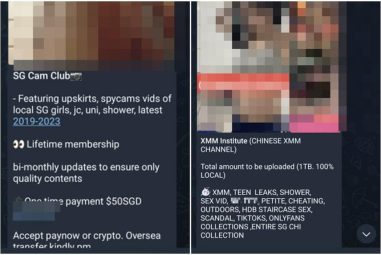 Telegram channels offer explicit sex videos, photos for a fee in similar vein to SG Nasi Lemak